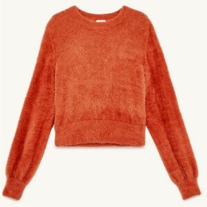 🍊 Sunday Best Kitten Crewneck Sweater in Rust Orange